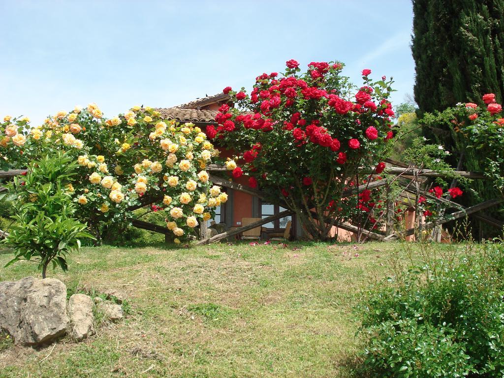 Antica Pietrara B&B Formello Exterior photo